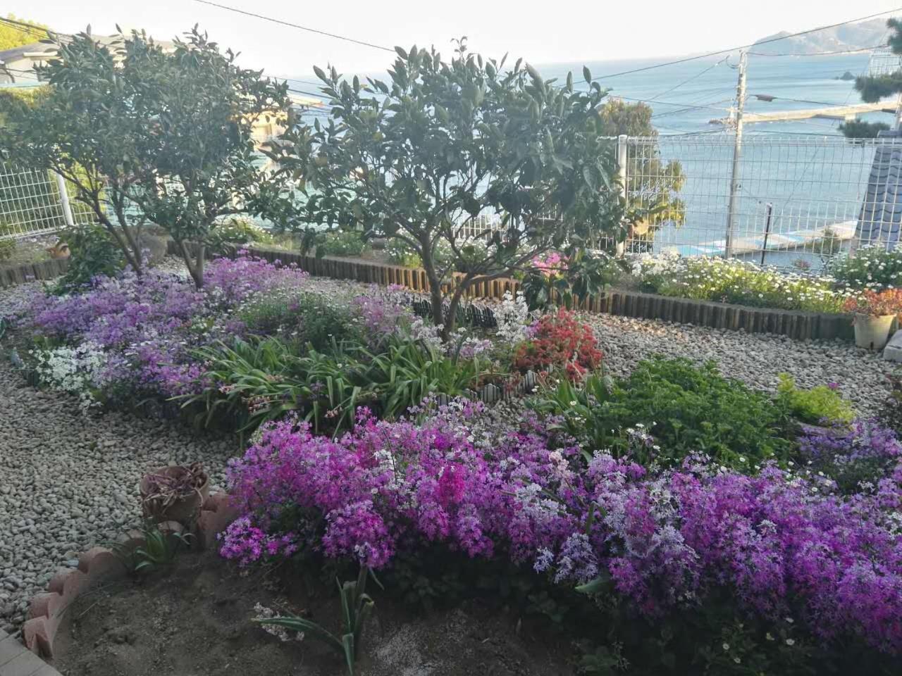 Atami Onsen Guest House Megumi Luaran gambar
